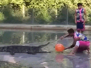 Крокодил и воздушный шарик