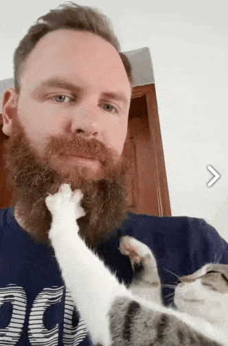 Кот мнет бороду хозяину