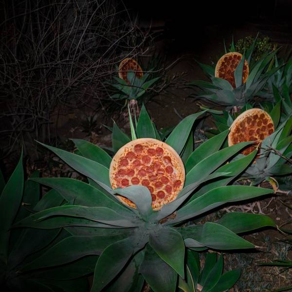 Пиццы растут в поле