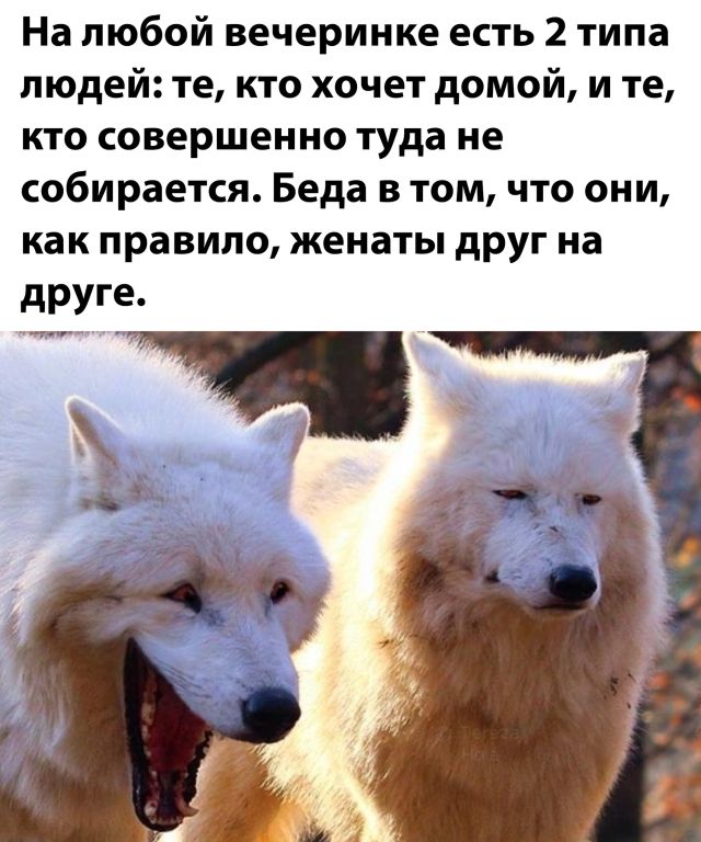 2 типа людей на вечернинке