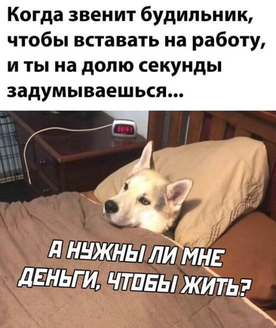Утренний будильник на работу