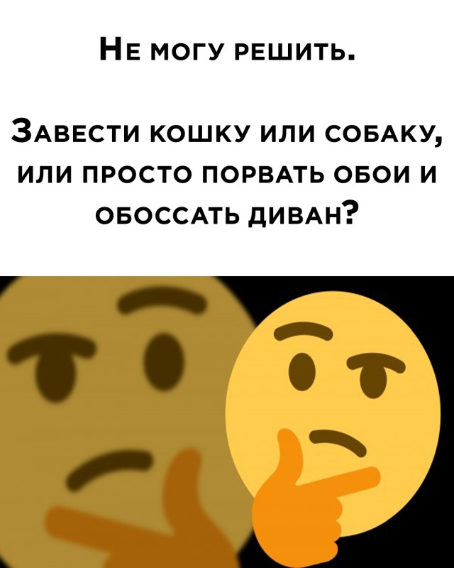 Завести кота или собаку