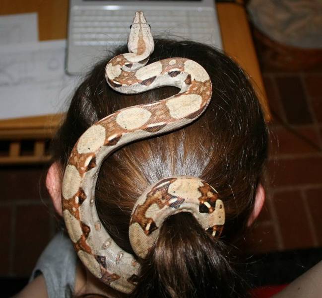 Змея на голове