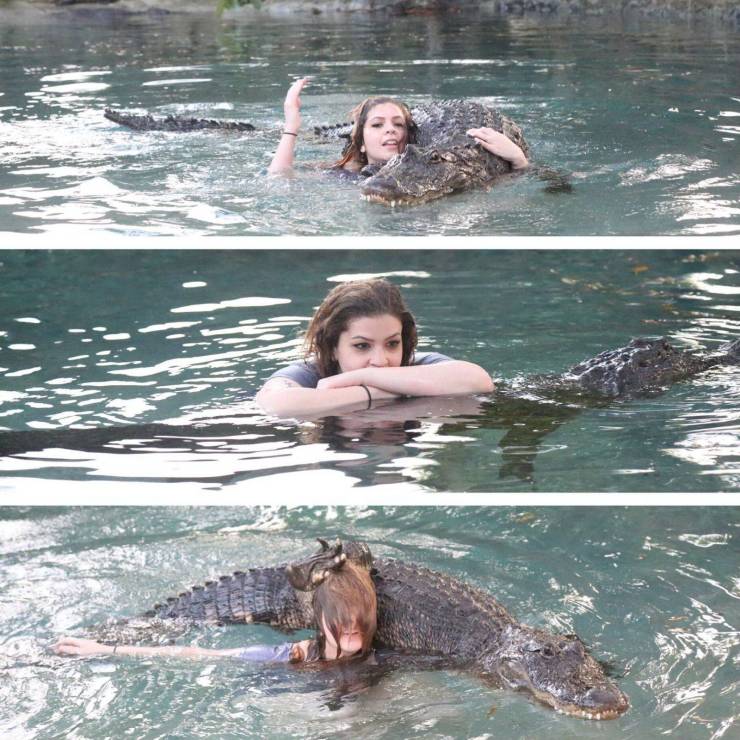 Девушка плавает с крокодилом