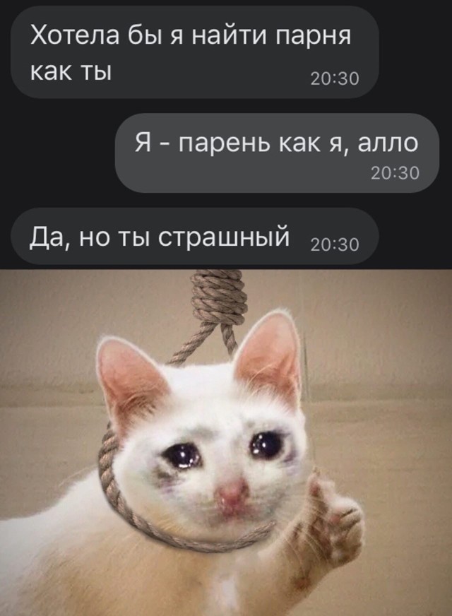 Переписка с девушкой