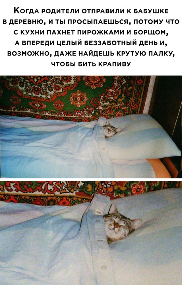 Поездка в деревню к бабушке