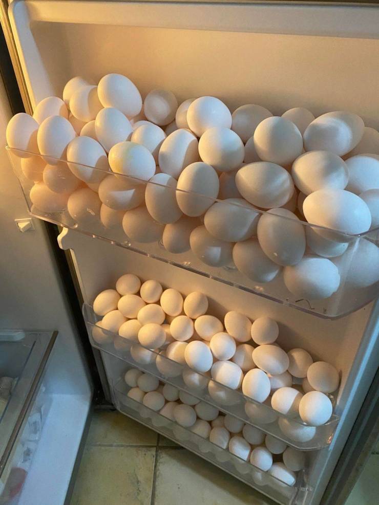 Полный холодильник яиц
