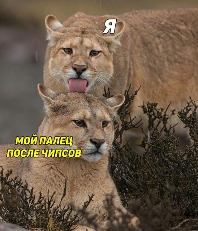 Палец после чипсов