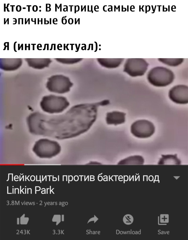 Интересное видео на YouTube