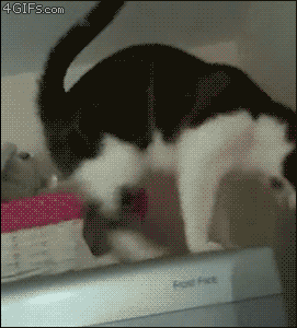 Кот спускается с холодильника