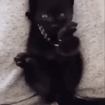 Черный котенок и лапки