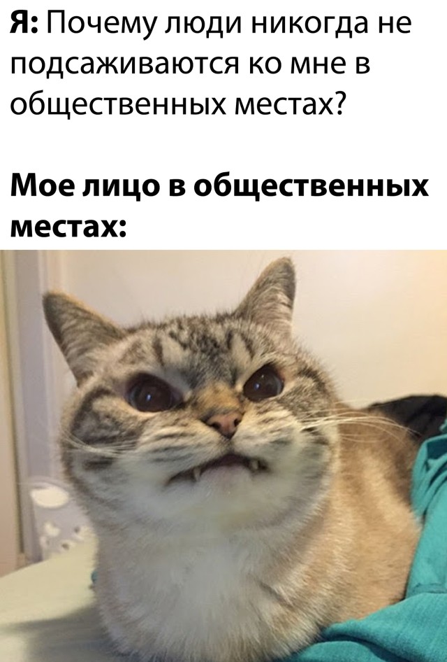 Почему люди не садятся рядом со мной