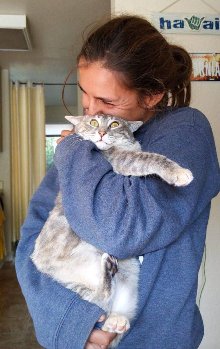Обнимашки с котом