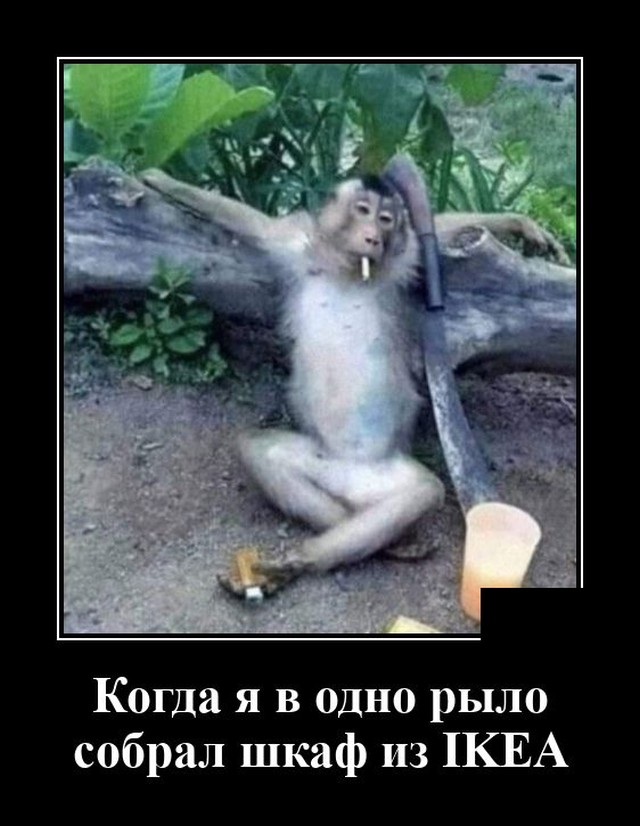Демотиватор про шкаф