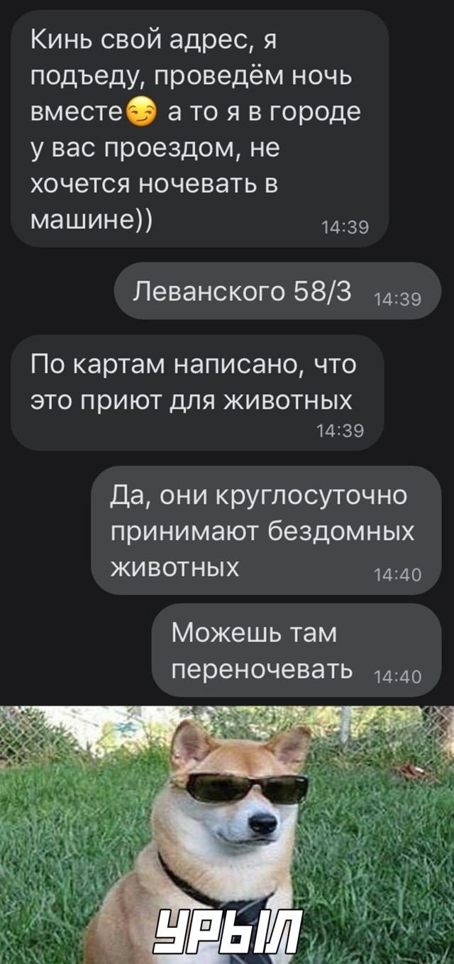Подборка картинок. Вечерний выпуск (30 фото) - 15.10.2020