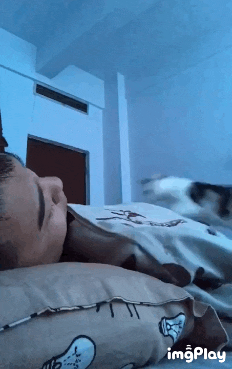 Кот напал на спящего хозяина