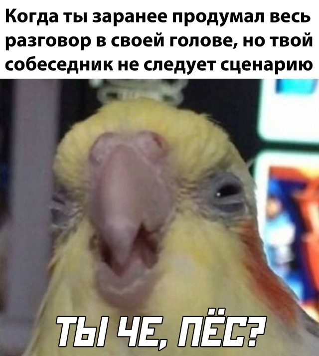 Разговор в своей голове