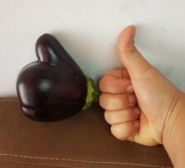 Кабачок лайк