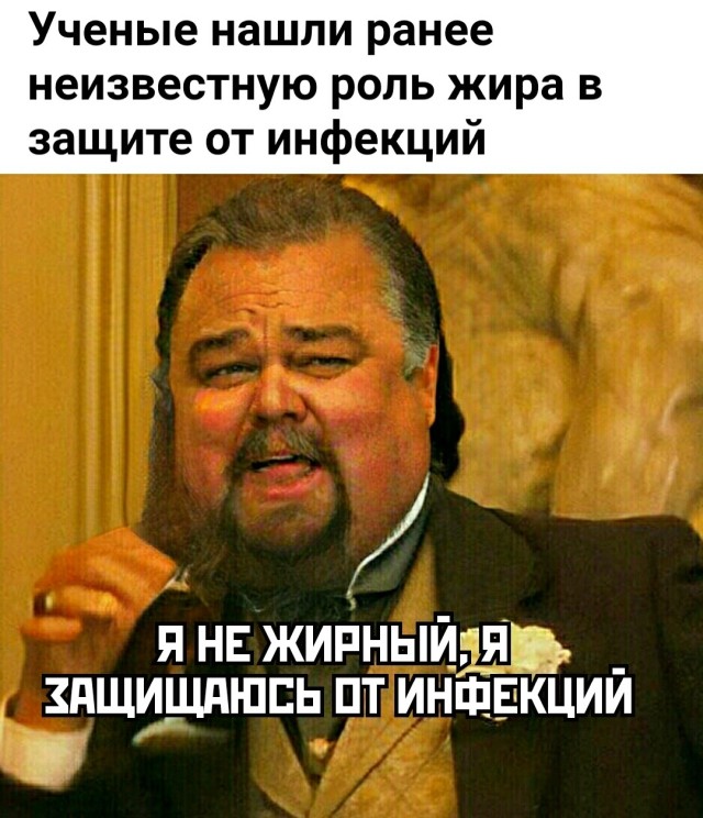 Польза от жира