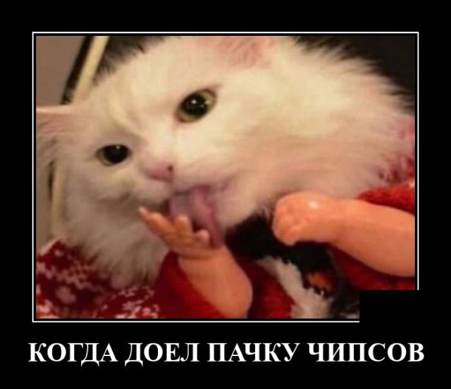 Демотиватор про чипсы