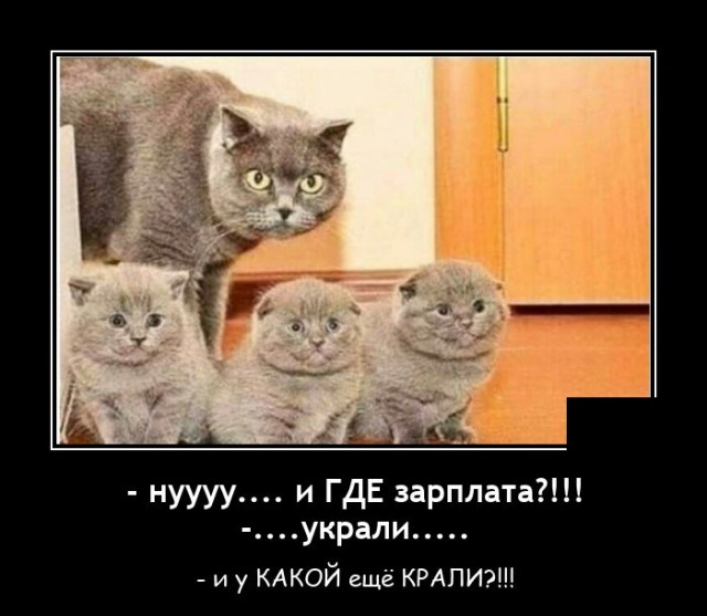 Демотиватор про зарплату