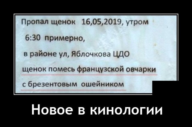 Демотиватор про кинологию