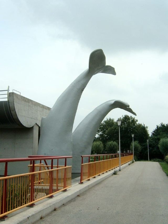 Скульптура "Хосты Китов"