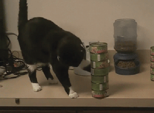 Кот сбрасывает консервы на пол