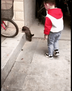 Ребенок помог щенку