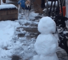 Собака и снеговик