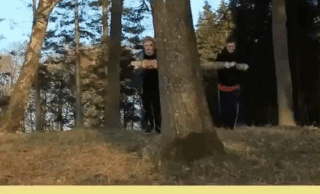 Падение из-за дерева