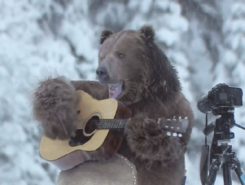 Медведь играет на гитаре