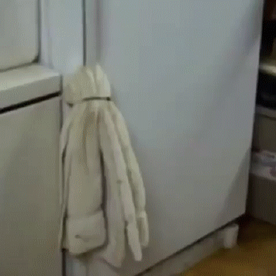 Собака открывает холодильник