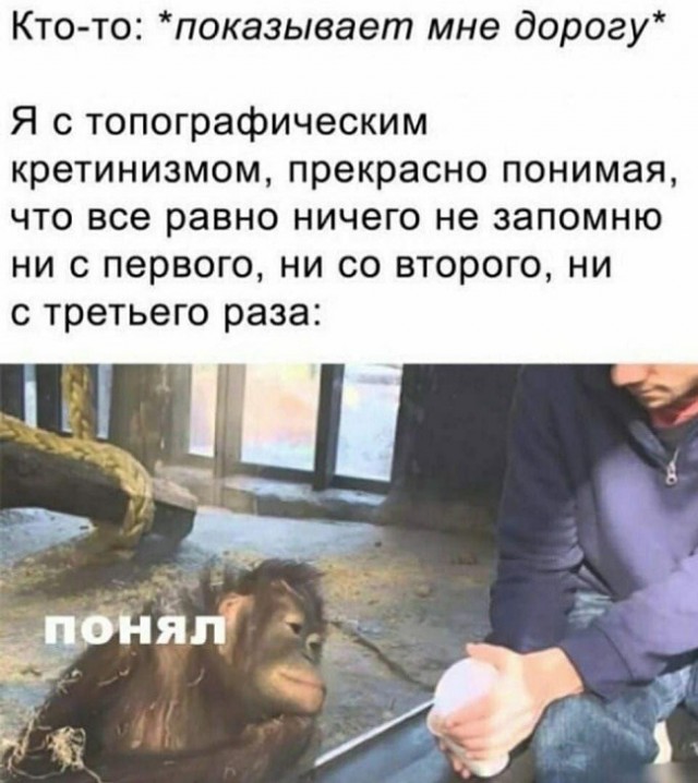 Смешные фото вечер 12 января 2021