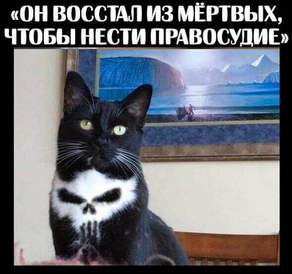 Смешные фото вечер 12 января 2021