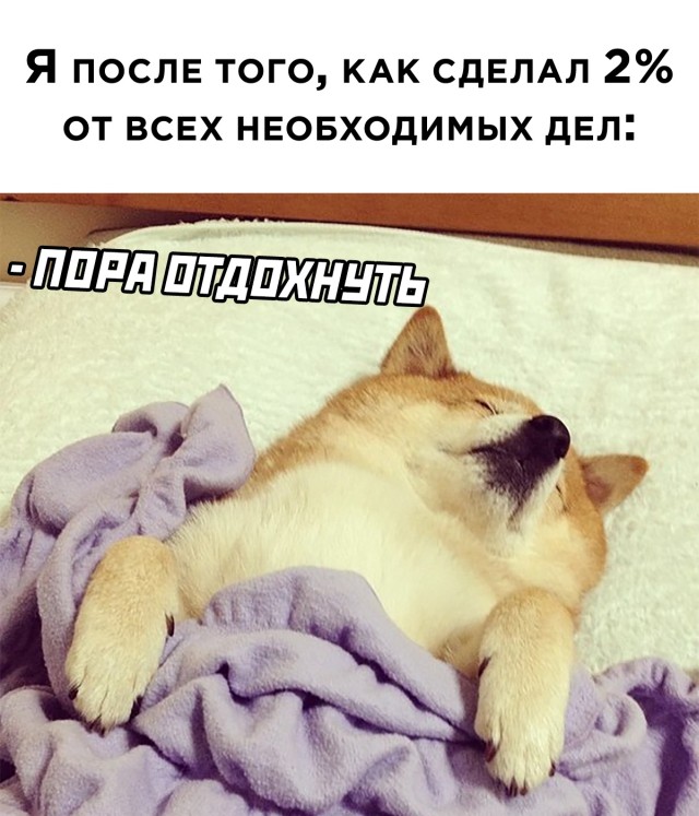 Смешные картинки вечерний выпуск 18 января 2021