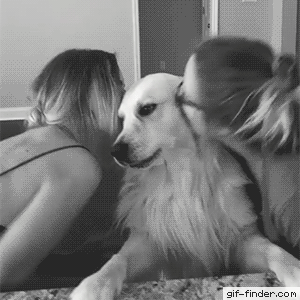 Девушки и собака