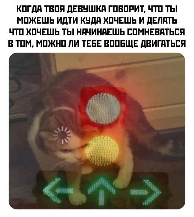 Смешные фото вечерний выпуск 27 января 2021