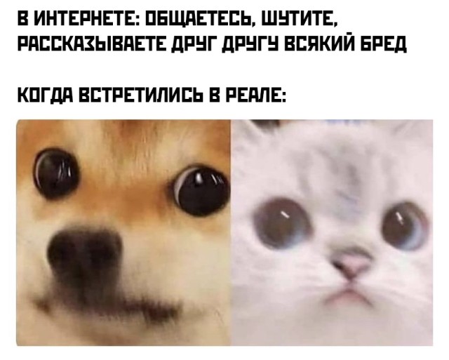 Смешные фото вечерний выпуск 27 января 2021