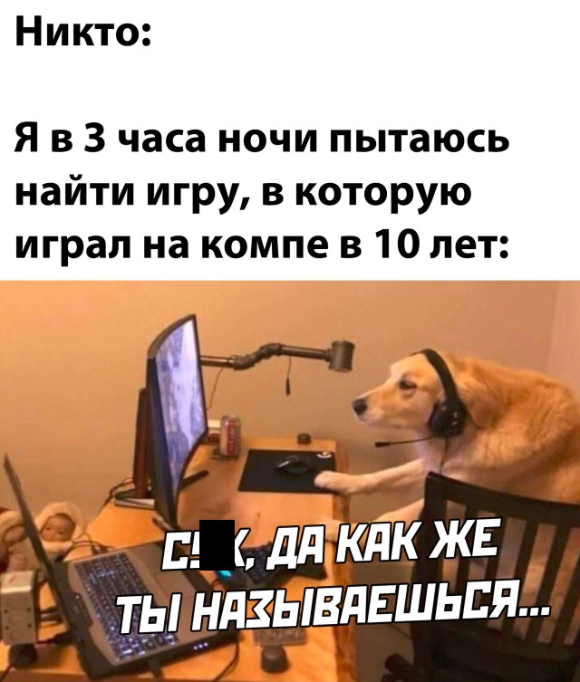 Смешные фото вечерний выпуск 27 января 2021