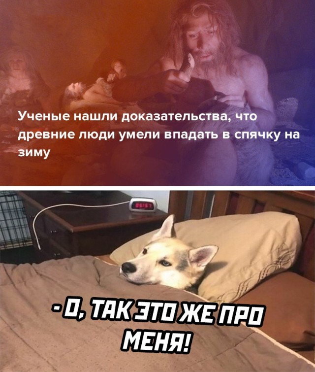 Смешные фото вечерний выпуск 27 января 2021