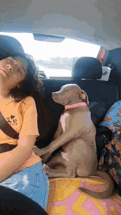 Спят в машине