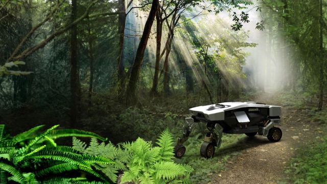 Tiger X-1 в джунглях