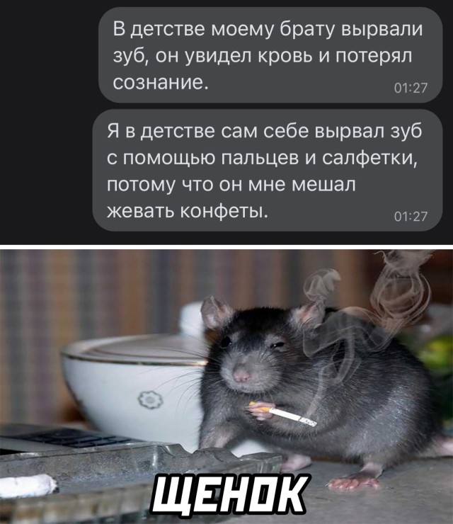 Смешные фото 16 февраля 2021 года