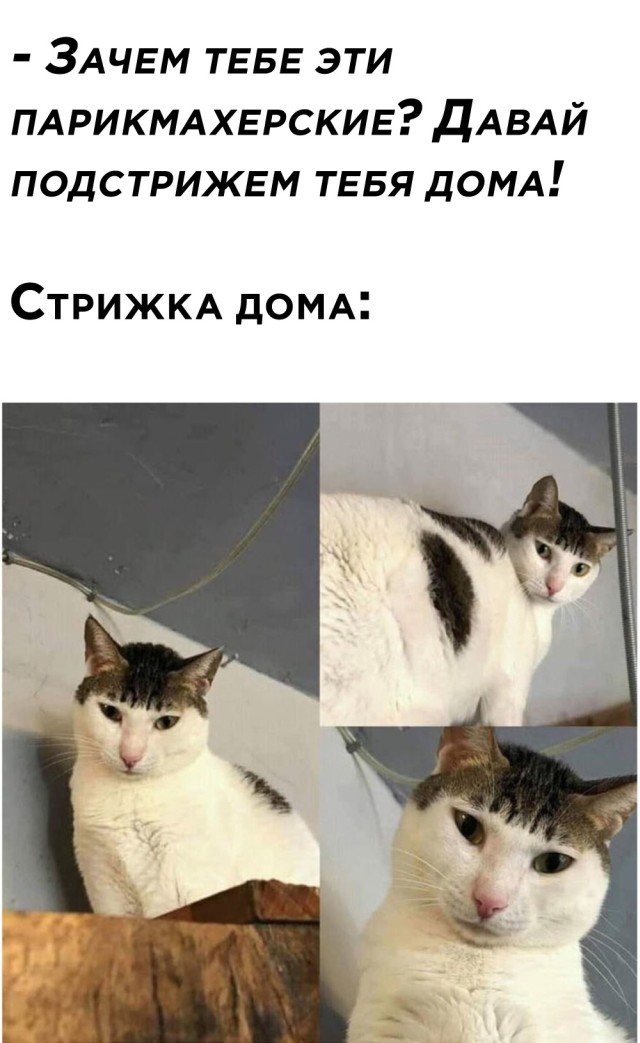 Смешные картинки вечер 2 марта 2021 года