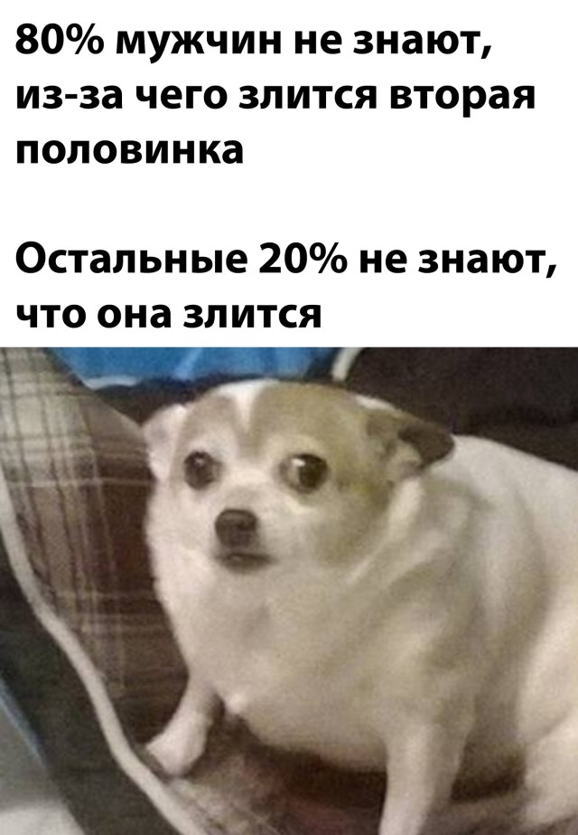 Смешные картинки 19 марта 2021