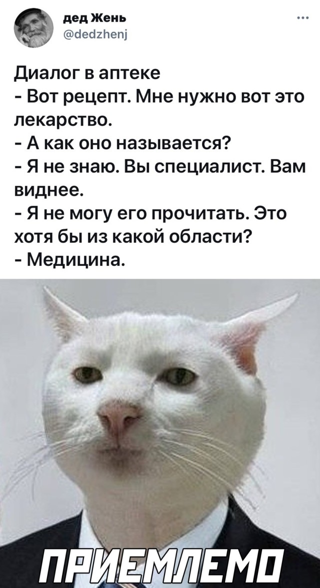 Смешные картинки вечер 13 апреля 2021