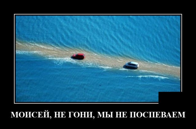 Демотиваторы 13 апреля 2021