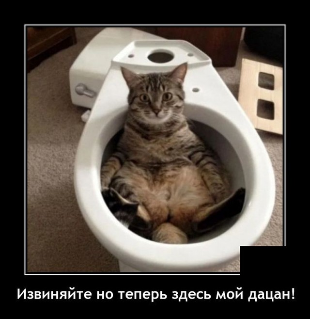 Демотиваторы 13 апреля 2021