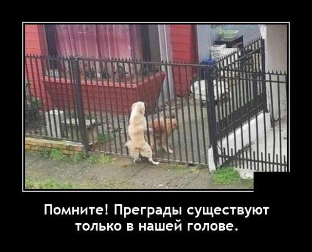 Демотиваторы 13 апреля 2021